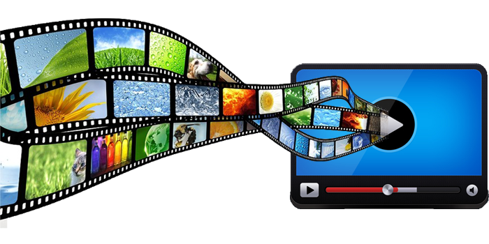 Video Gallery